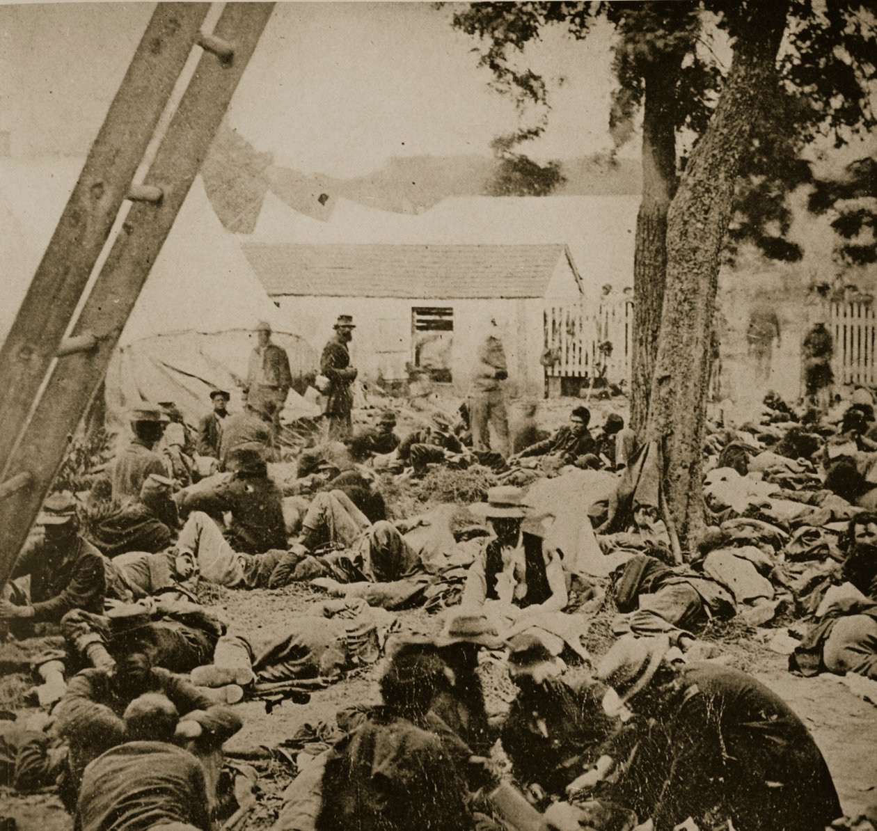 1862年6月29日在萨维奇站的野战医院场景 作者 马修·布雷迪