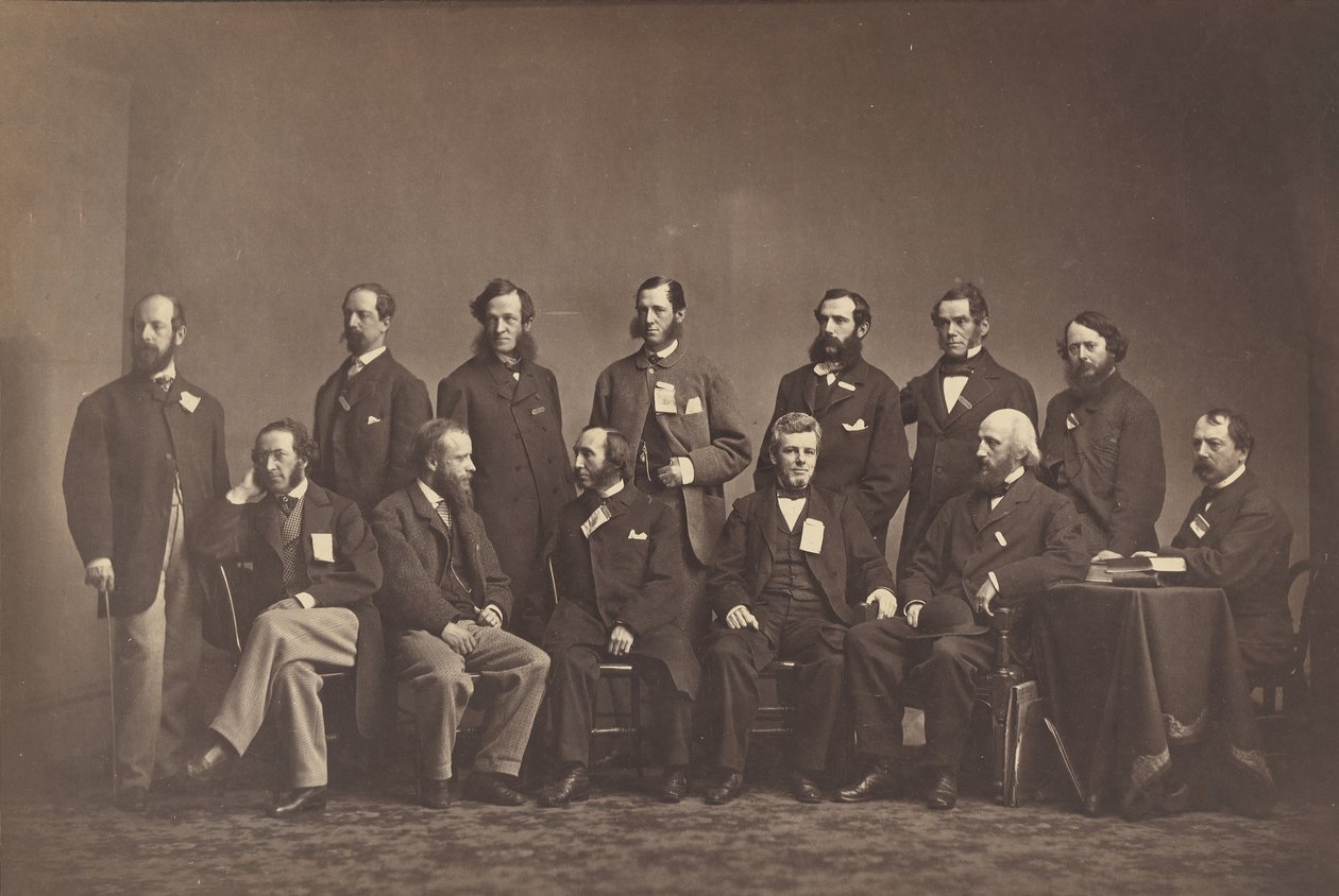 [纽约卫生委员会成员]，约1860年。 作者 马修布雷迪