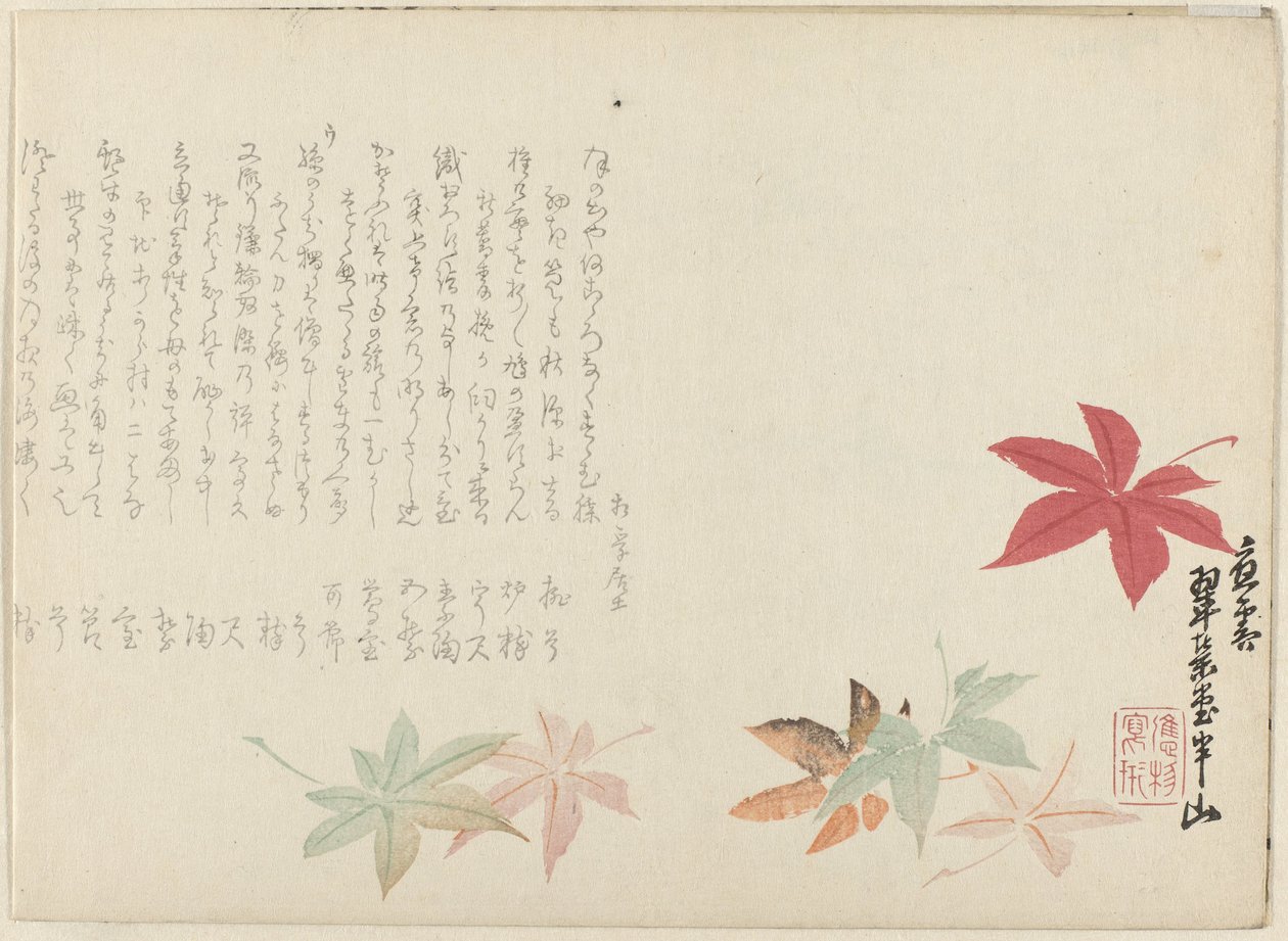 日本枫 作者 松川半山