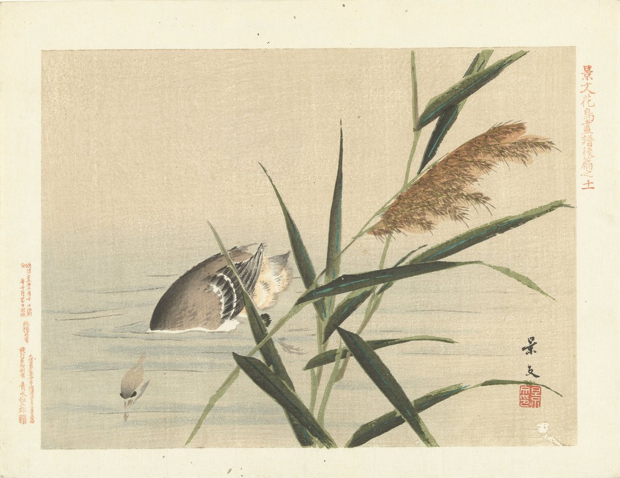 芦苇旁的潜水鸭
敬文的花鸟素描--第三部分（系列标题）
Keibun kacho gafu kohen（物体上的系列标题） 作者 松村庆文