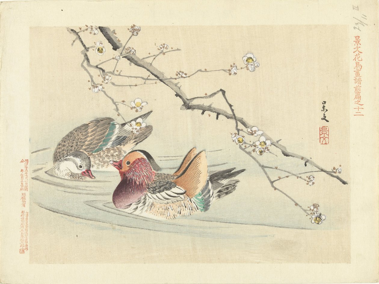 两只鸭子
Keibun 的花鸟素描--第一部分（系列标题）
Keibun kacho gafu zenpen（物体上的系列标题） 作者 松村庆文