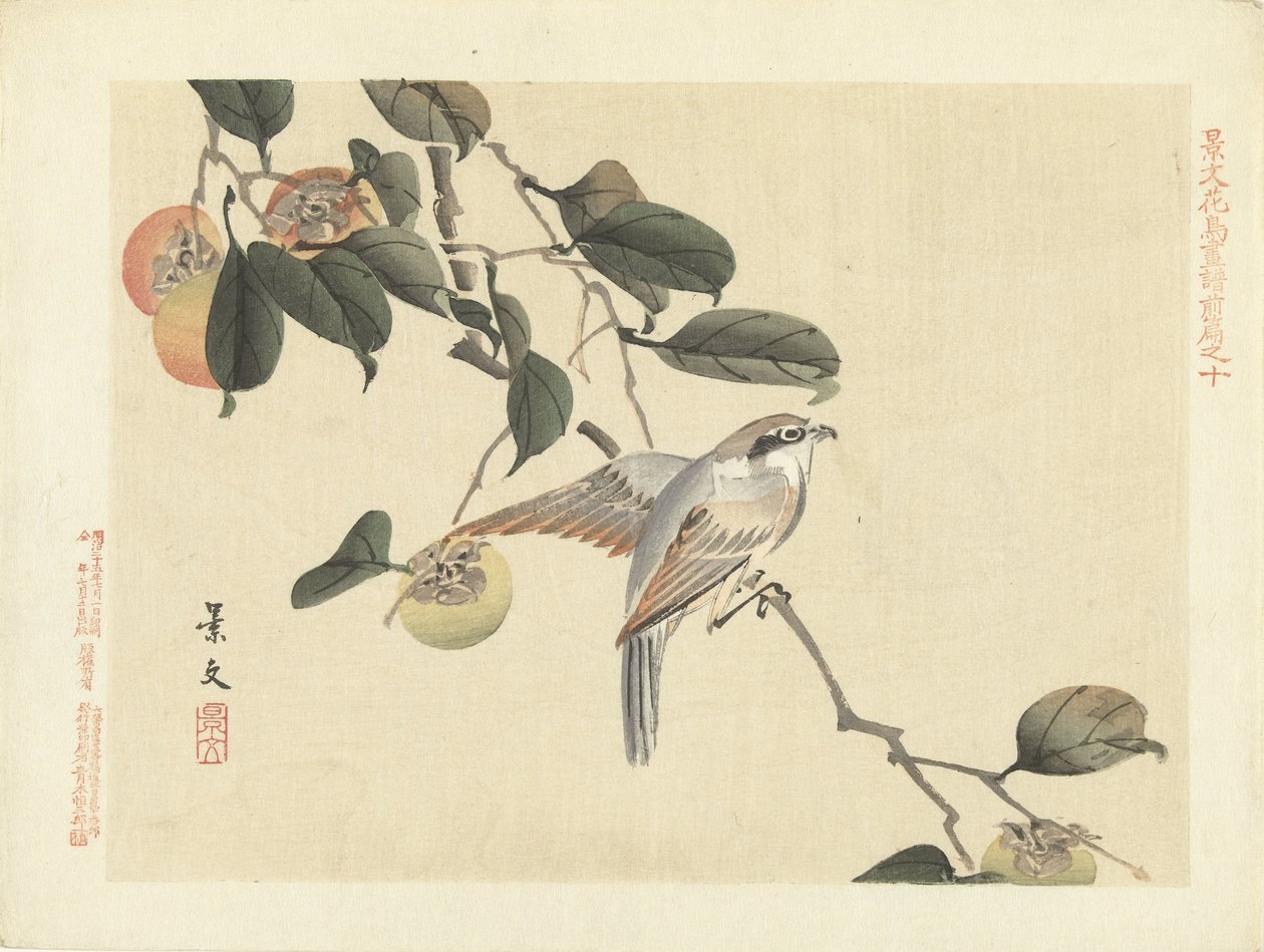 鸟和柿子
Keibun 的花鸟素描--第一部分（系列标题）
Keibun kacho gafu zenpen（物体上的系列标题） 作者 松村庆文