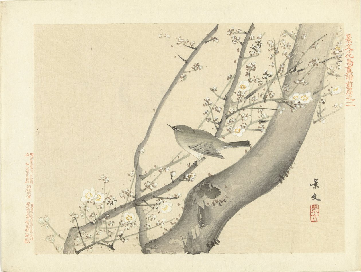白花树上的小鸟
Keibun 的花鸟素描--第一部分（系列标题）
Keibun kacho gafu zenpen（物体上的系列标题） 作者 松村庆文