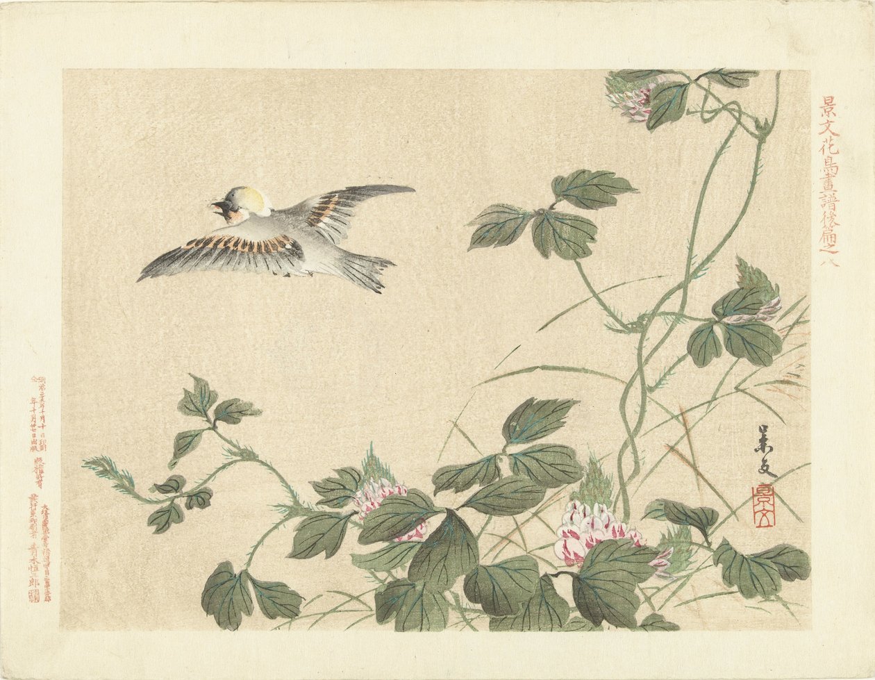 鸟儿在开着粉色花朵的爬山虎附近飞走了
Keibun 的花鸟速写--第三部分（系列标题）
Keibun kacho gafu kohen（物体上的系列标题） 作者 松村庆文