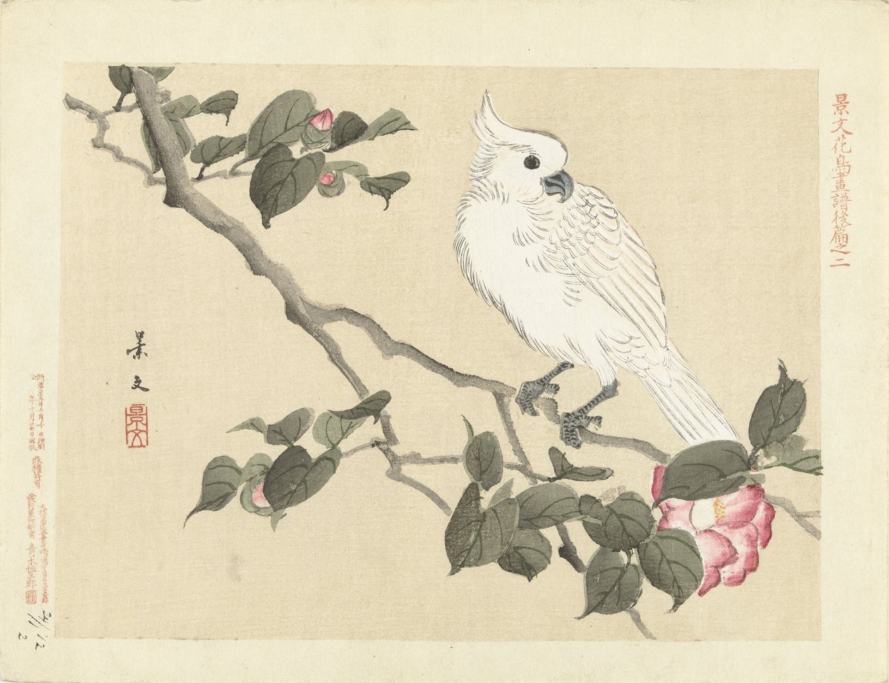 山茶花枝上的白色凤头鹦鹉
Keibun 的花鸟素描--第三部分（系列标题）
Keibun kacho gafu kohen（物体上的系列标题） 作者 松村庆文