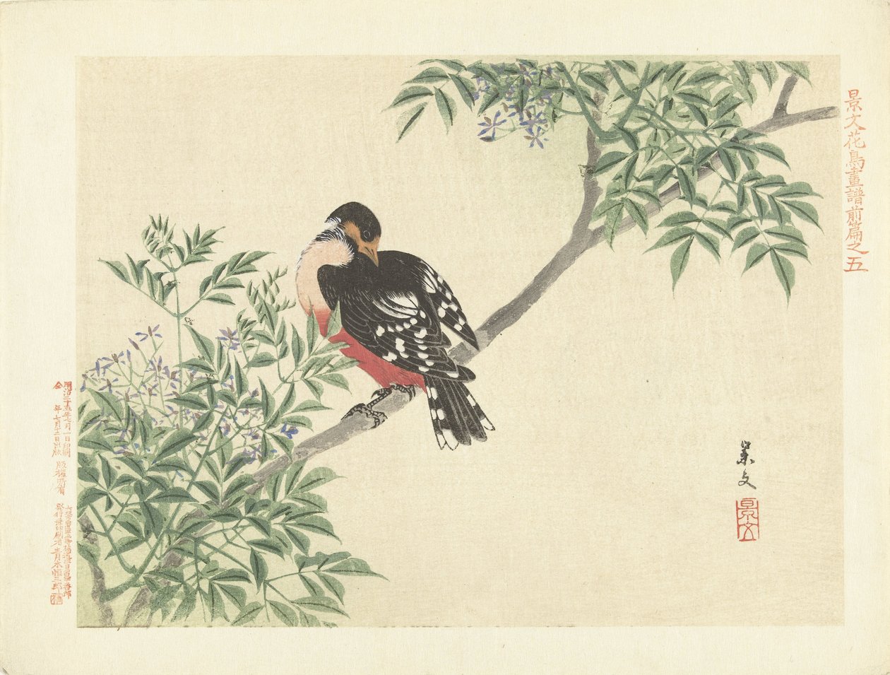 黑红鸟
Keibun 的花鸟素描--第一部分（系列标题）
Keibun kacho gafu zenpen（物体上的系列标题） 作者 松村庆文