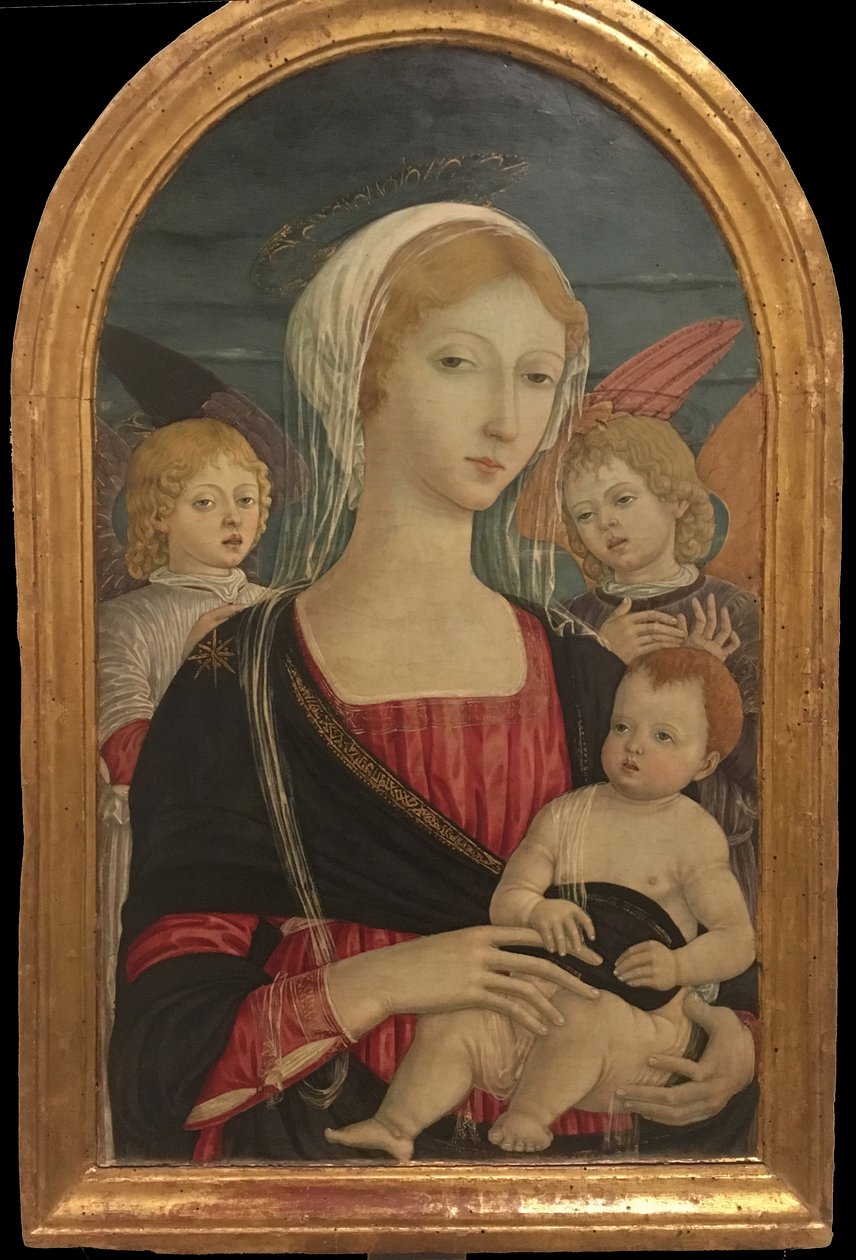 马特奥-迪-乔瓦尼，《圣母子与两个天使》（Matteo di Giovanni, Madonna and Child with Two Angels 作者 马泰奥·迪·乔瓦尼