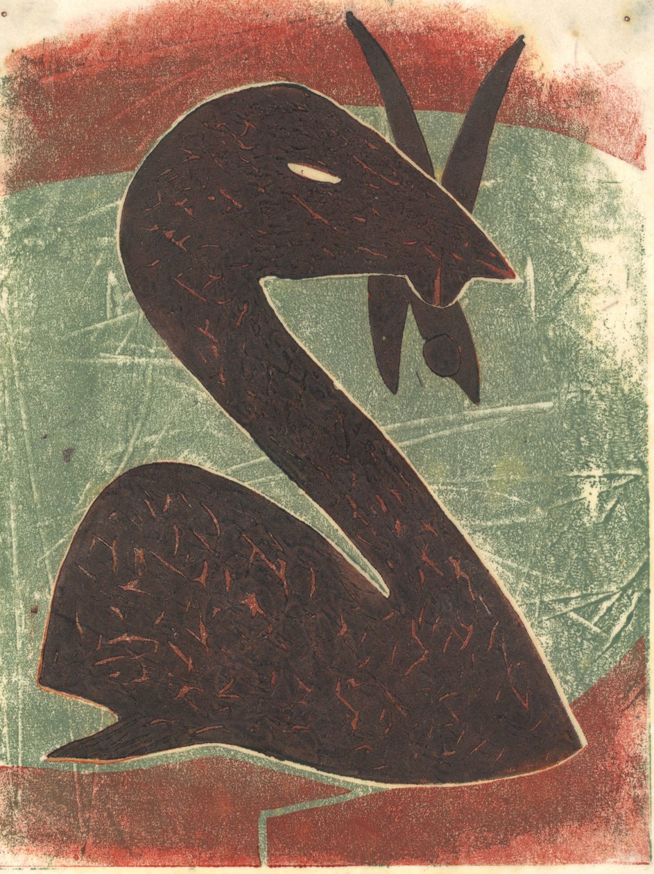 天鹅》，2013 年（油印） 作者 马修·希尔顿