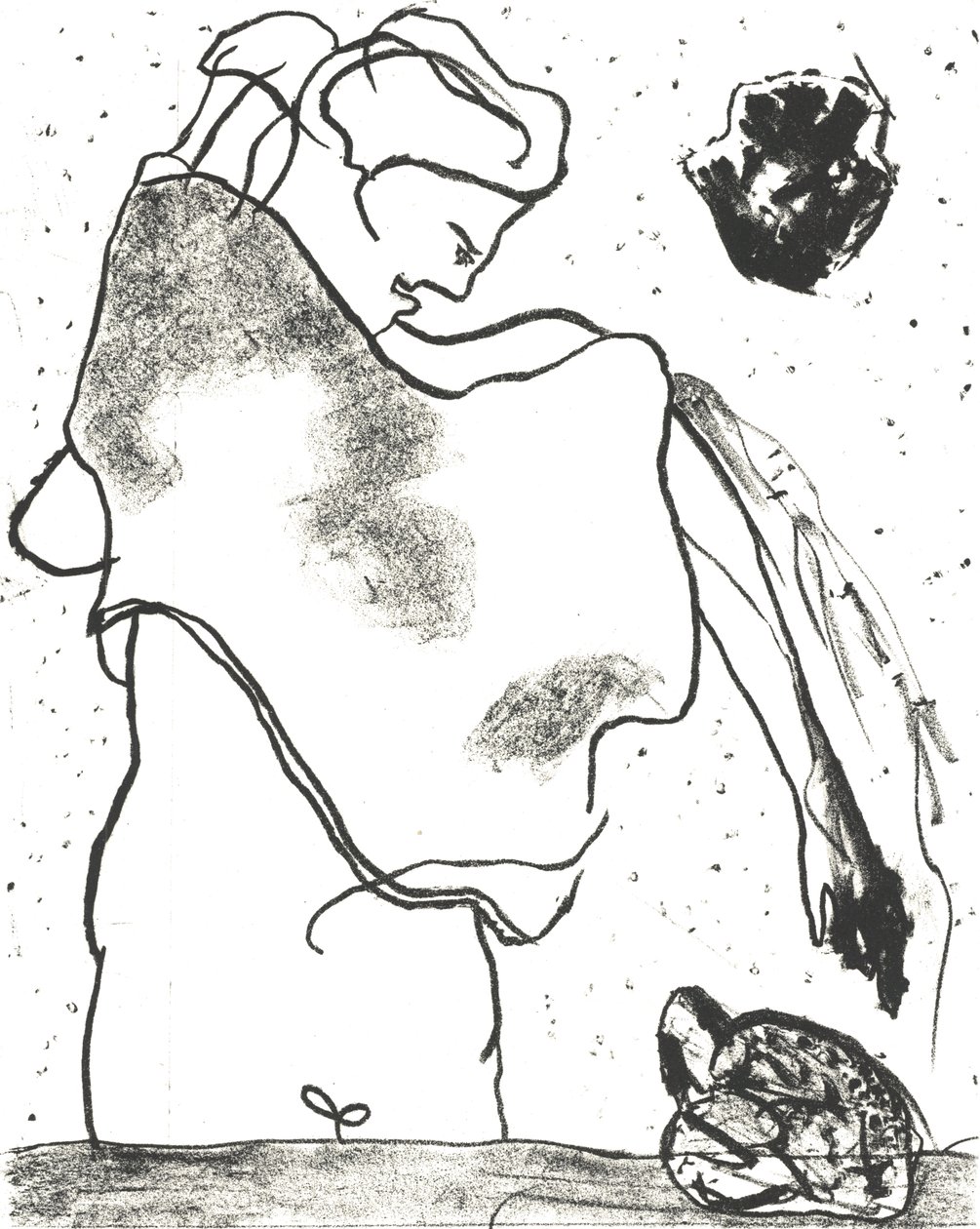 Des Bêtes》艺术家画册 2，2018 年（平版） 作者 马修·希尔顿