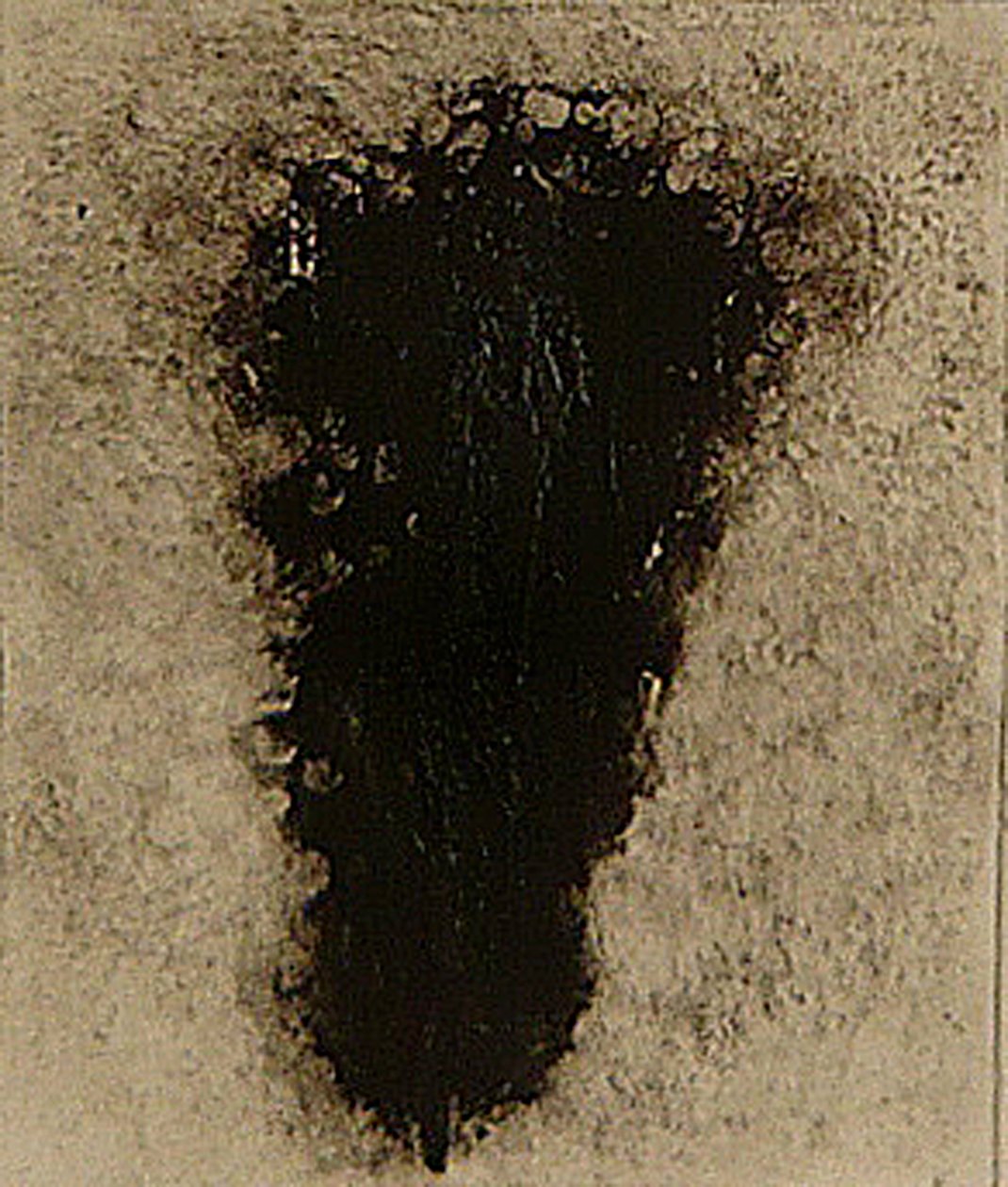 奥西, 2009 (helioprint) 作者 马修·希尔顿