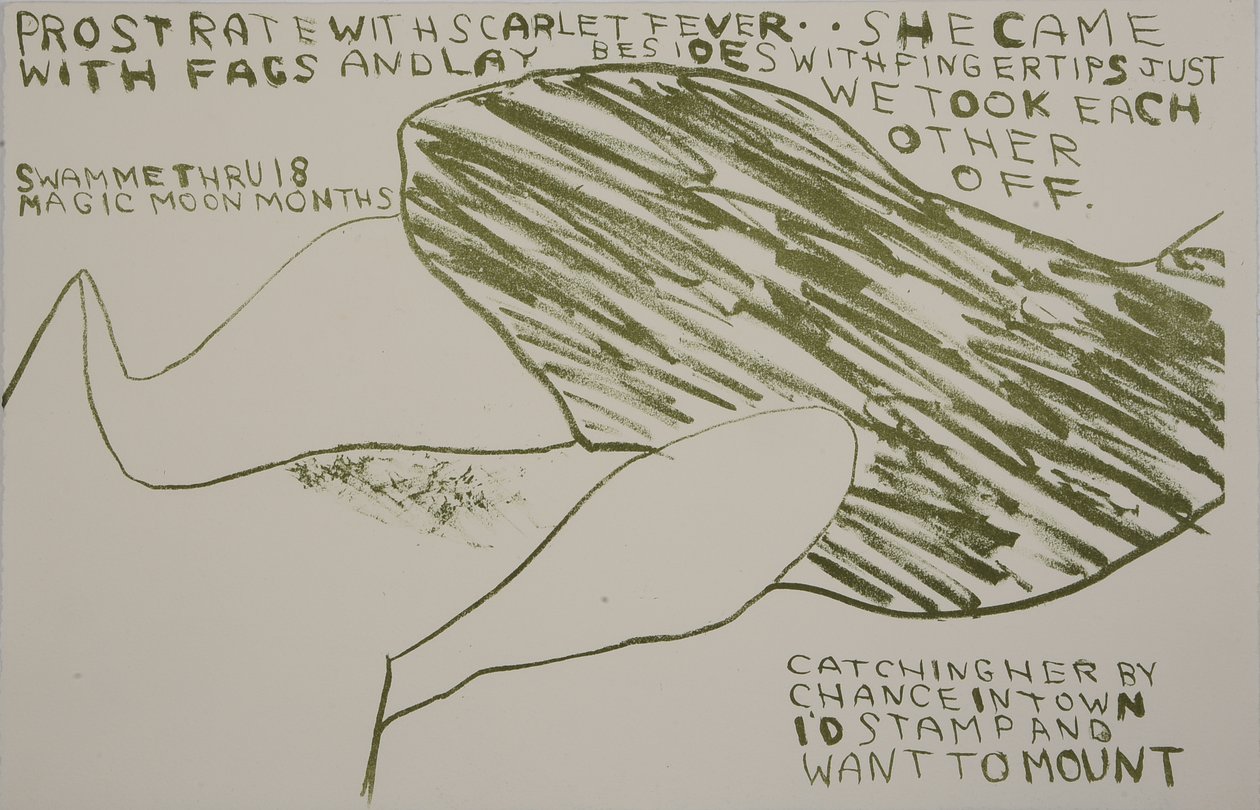 她带着同性恋来了，2009 年（石版画） 作者 马修·希尔顿