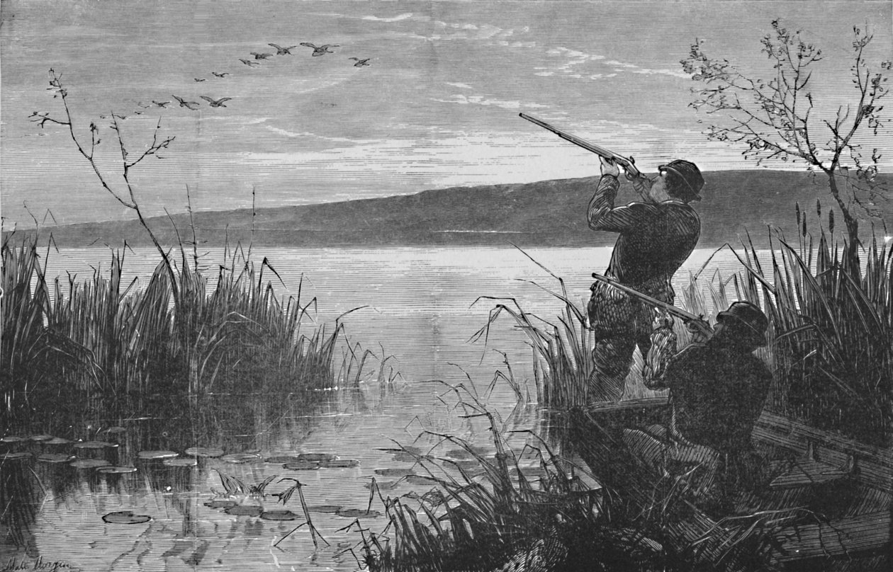 萨拉托加湖上的鸭子射击，1973年，1883年 作者 马修·萨默维尔·摩根