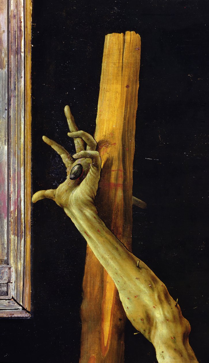 Isenheim Altarpiece，基督左手的封闭细节，c.1512-16油面板 作者 马蒂亚斯·格鲁内瓦尔德