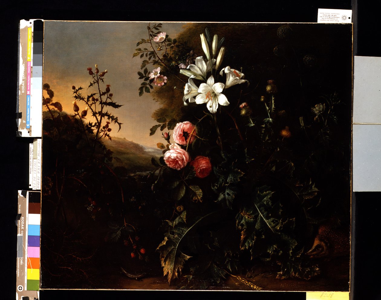 静物，c.1670（布面油画） 作者 马蒂亚斯·威斯（Matthias Withoos）