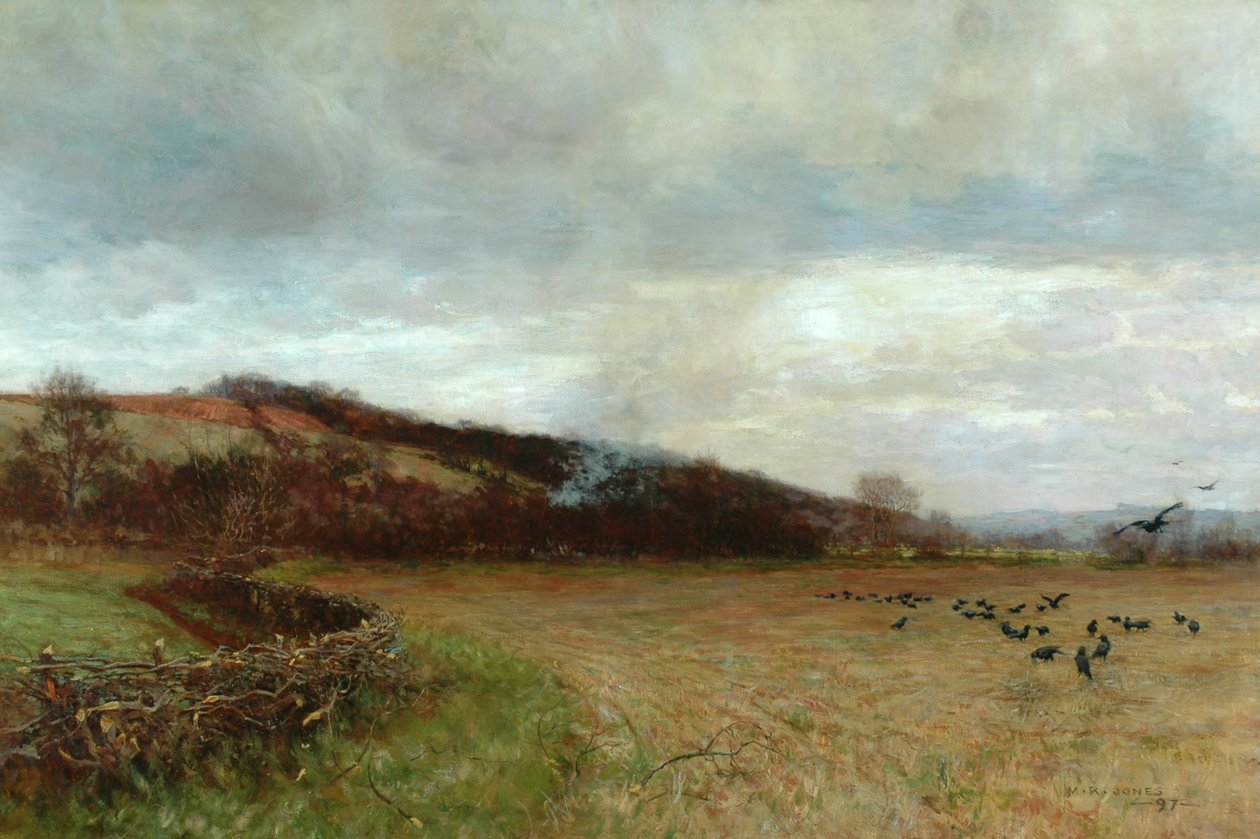 风景与鸟类，1897年 作者 莫德·拉斐尔·琼斯