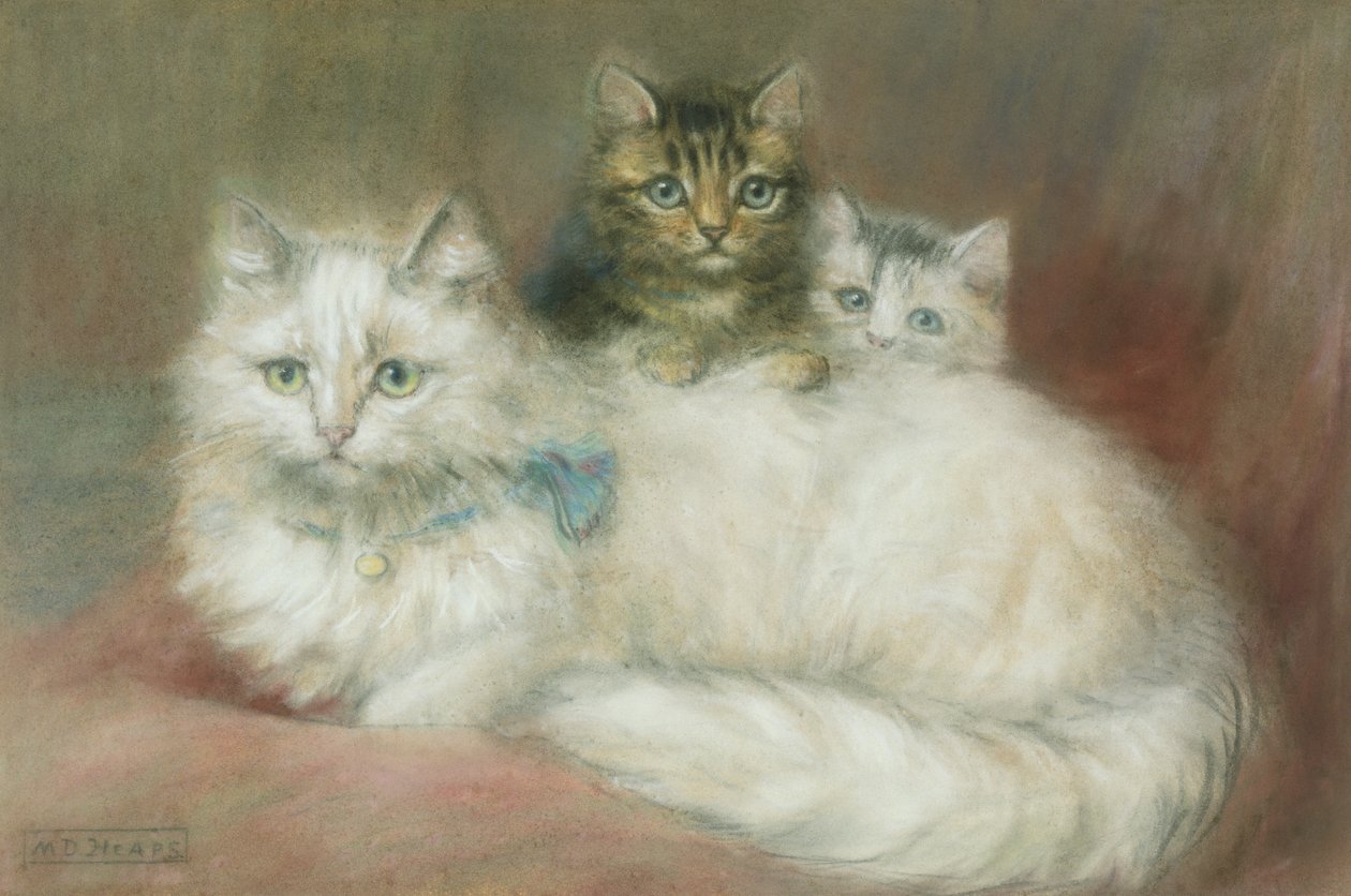 波斯猫和她的小猫 作者 莫德·D·堆
