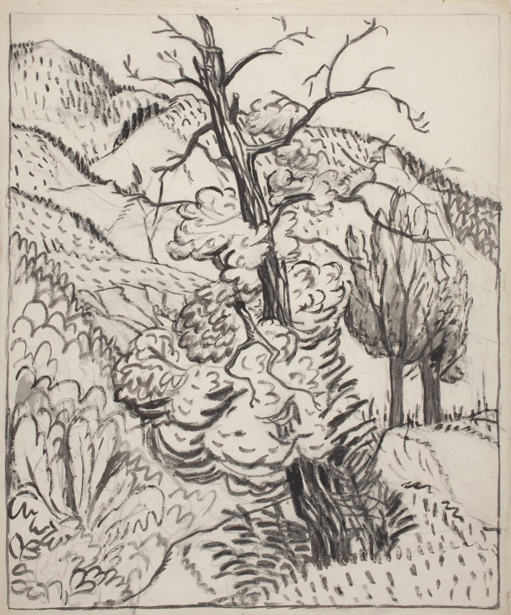 山坡上的树，约 1930 年（米白色绒面纸上的毛笔、墨水和炭笔） 作者 莫德·亨特乡绅