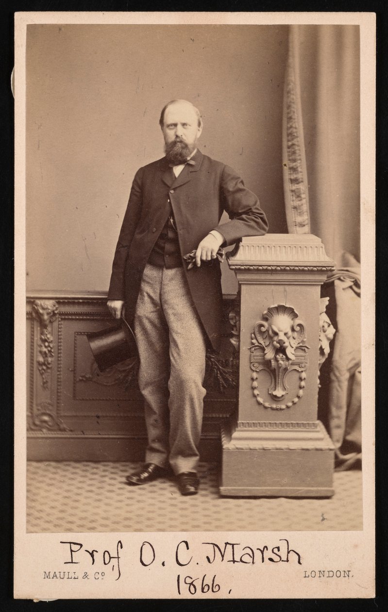 奥斯尼尔-查尔斯-马什1831-1879年的肖像，1866年。 作者 马尔公司