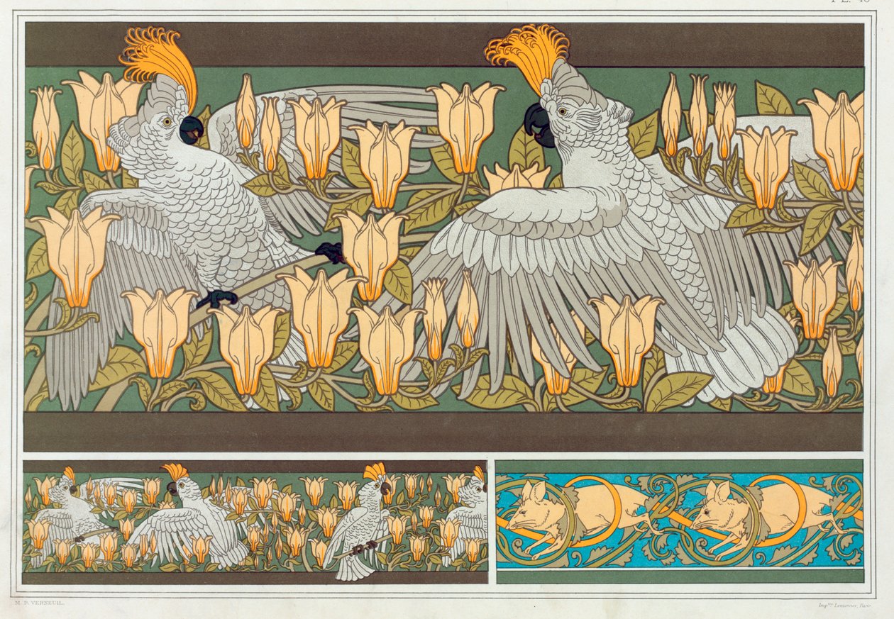 墙纸边框的设计 鹦鹉和玉兰花，出版。1897. 作者 莫里斯·皮拉德·维尔纽尔