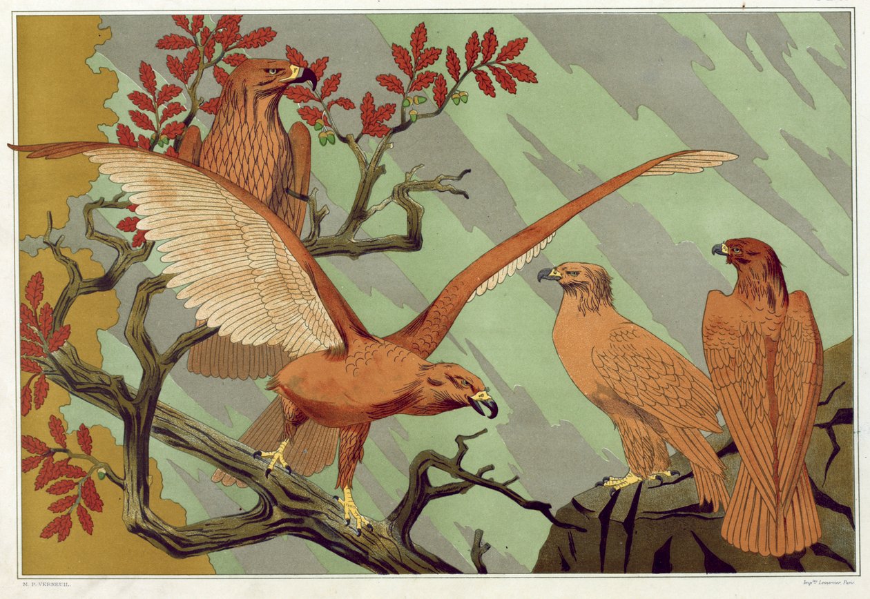 Eagles, pub.1897. 作者 莫里斯·皮拉德·维尔纽尔