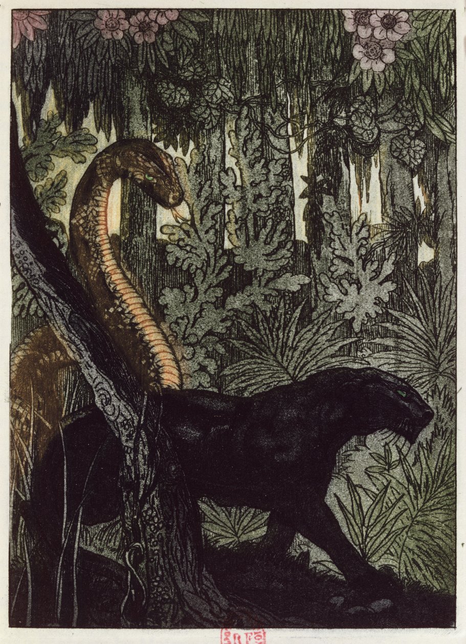 Kaa&39;s Hunt，来自Rudyard Kipling（1865-1936）的“丛林书”中的插图，于1930年在巴黎出版 作者 莫里斯·德·贝克