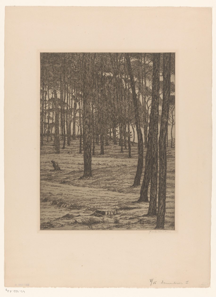Dennenbosch I（物体上的原始标题） 博斯（原标题） 作者 莫里茨·范德瓦尔克（Maurits van der Valk）（有艺术家签名）