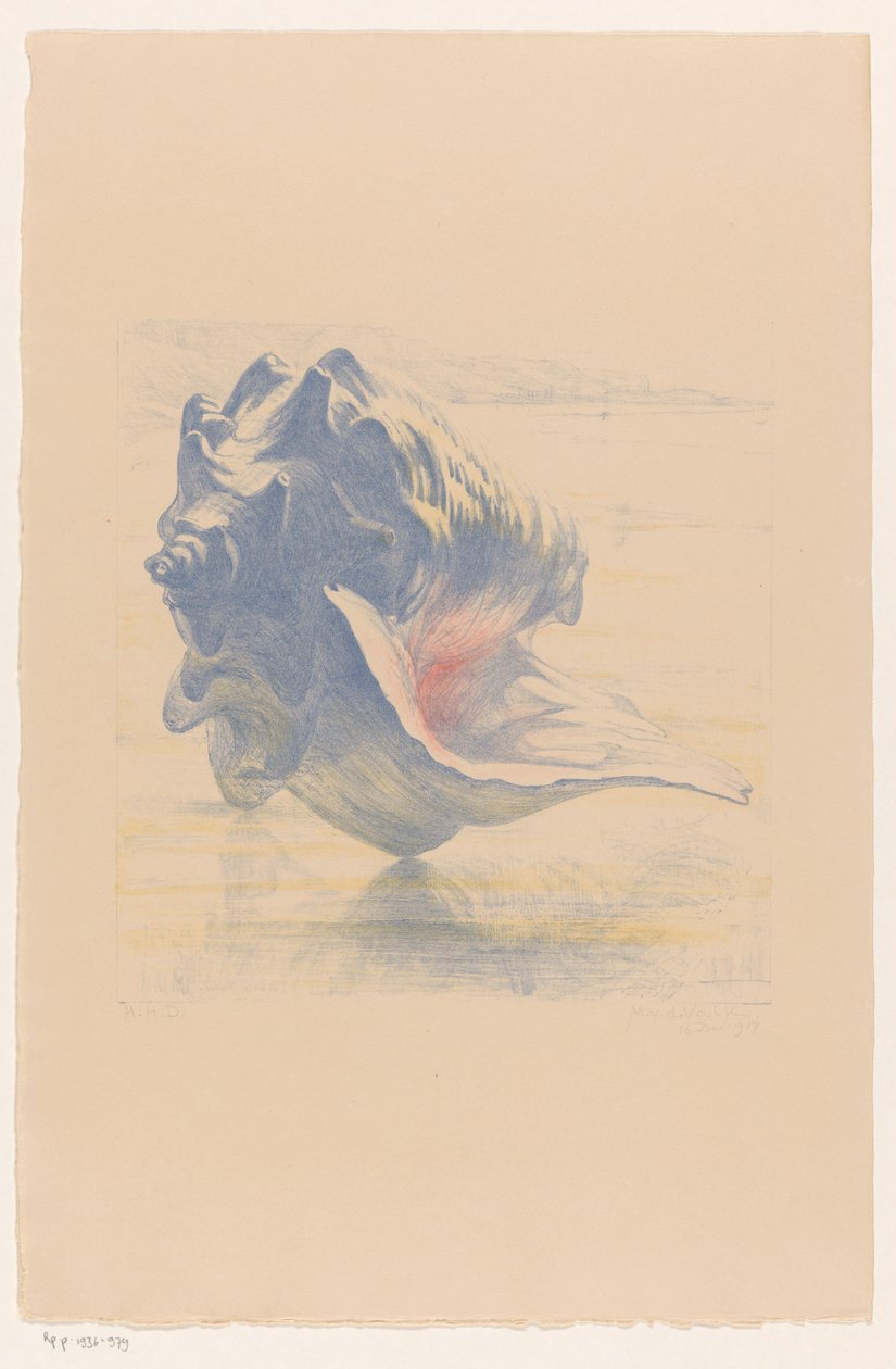 Schelp 作者 莫里茨·范德瓦尔克（Maurits van der Valk）（有艺术家签名）