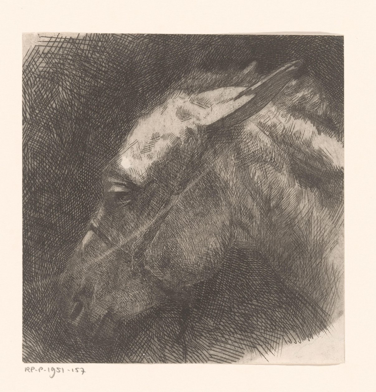 骡子头 作者 Maurits van der Valk