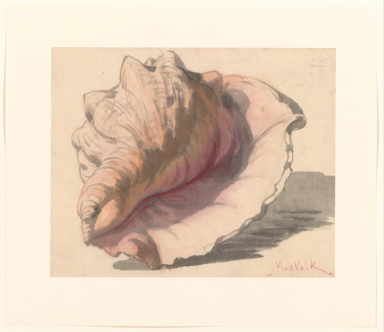 壳 作者 Maurits van der Valk