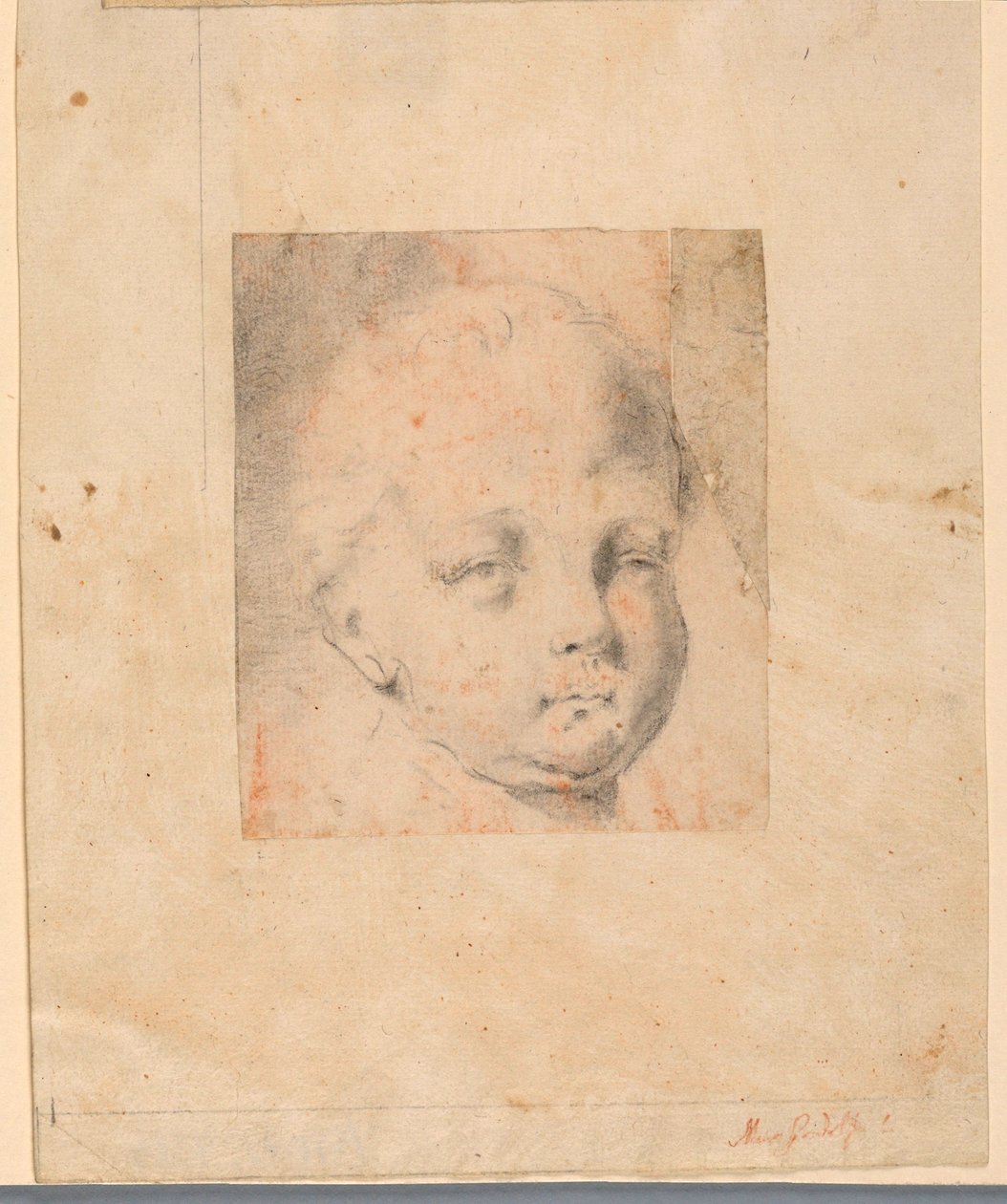 素描，研究：男孩的头部，1810-34 作者 毛罗·甘多菲