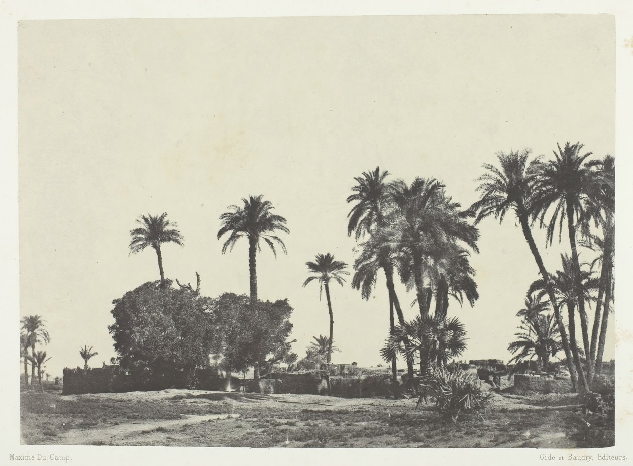 上埃及的哈马梅村，184951年，1852年印刷。 作者 马克西姆·杜营