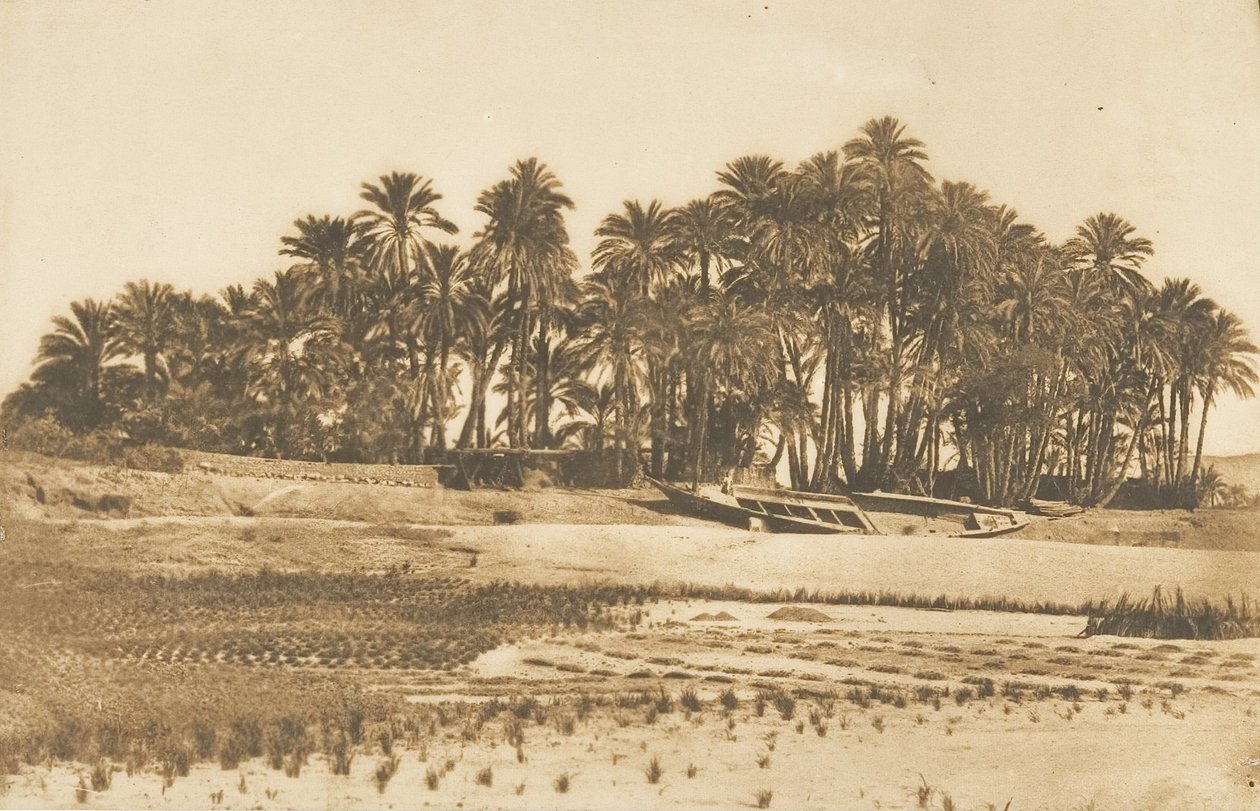 阿斯旺对面的象鼻岛景观，1849-50年。 作者 马克西姆·杜营
