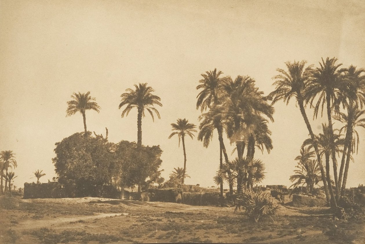 Denderah右岸附近的Hamarneh村景观，1849-50年。 作者 马克西姆·杜营