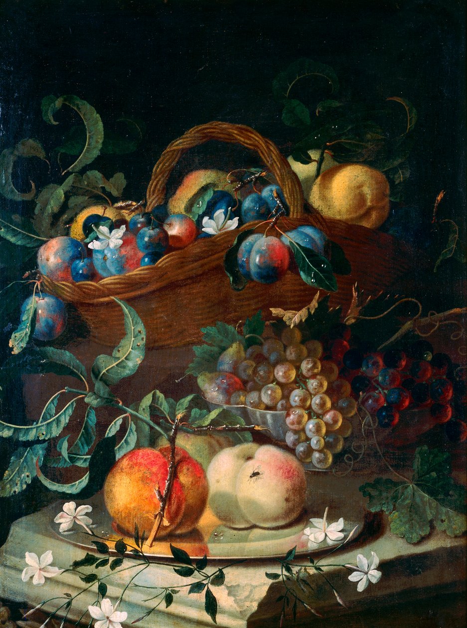 水果 作者 马克西米利安·菲勒（Maximilian Pfeiler）或普菲勒（Pfeiller）