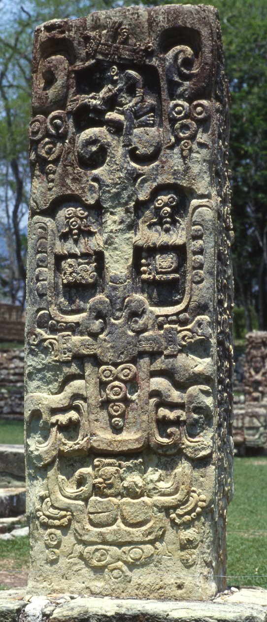 回到史特拉B，Copan，经典晚期，公元731年 作者 玛雅人