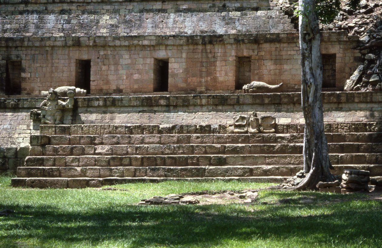 Copan West Court，经典晚期600-900 作者 玛雅人