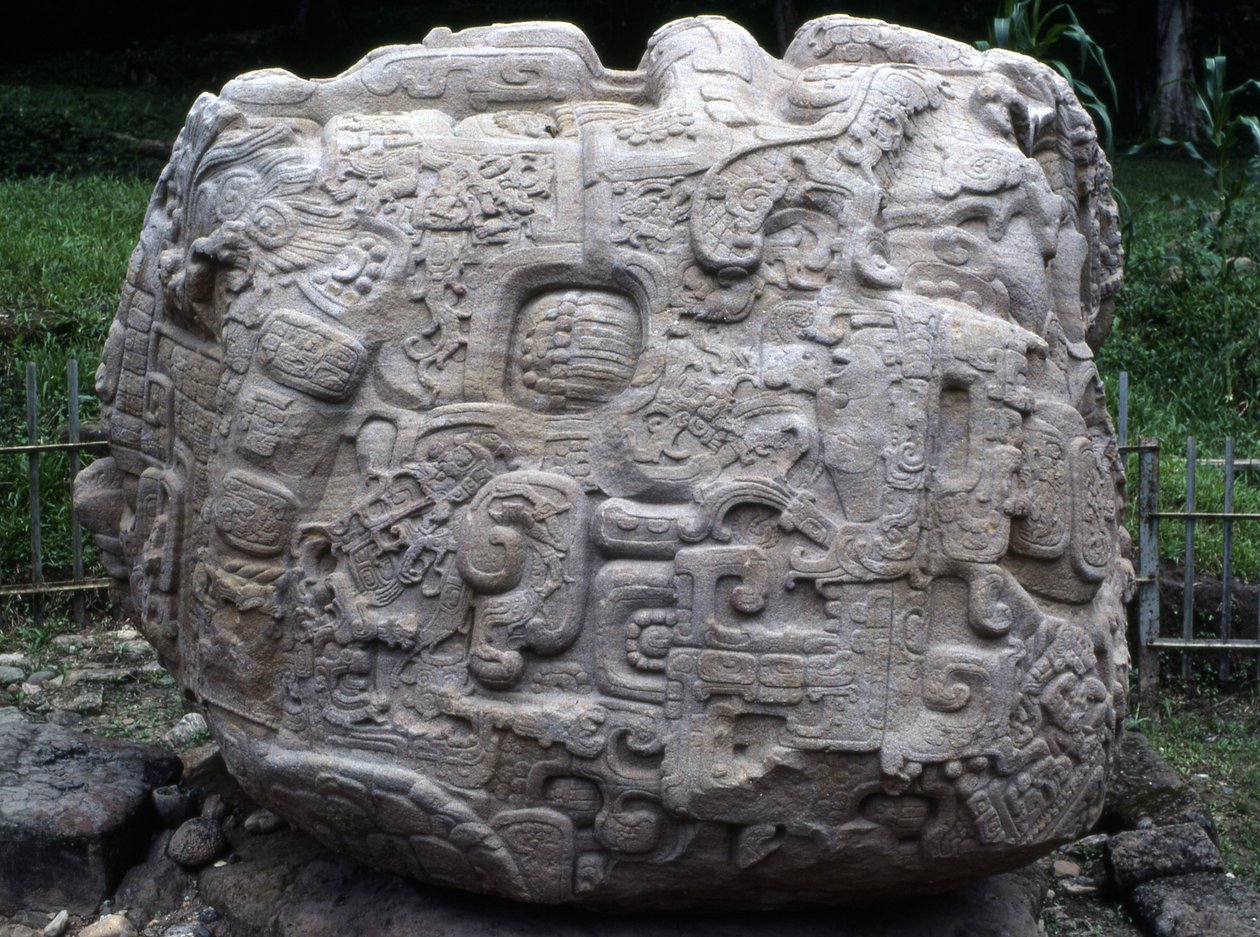 变形石P的侧视图，经典晚期（公元600  -  900年） 作者 玛雅人