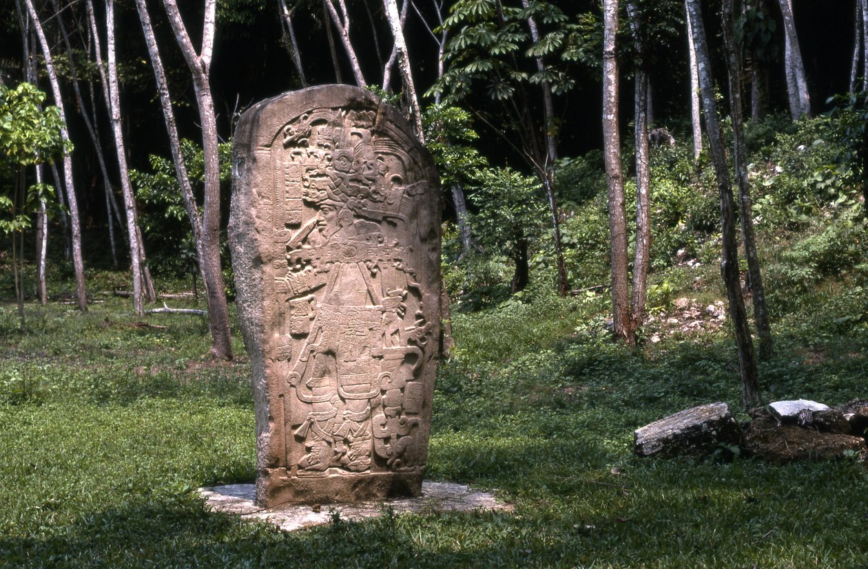 Stela 1，终点经典时期（公元830-930） 作者 玛雅人