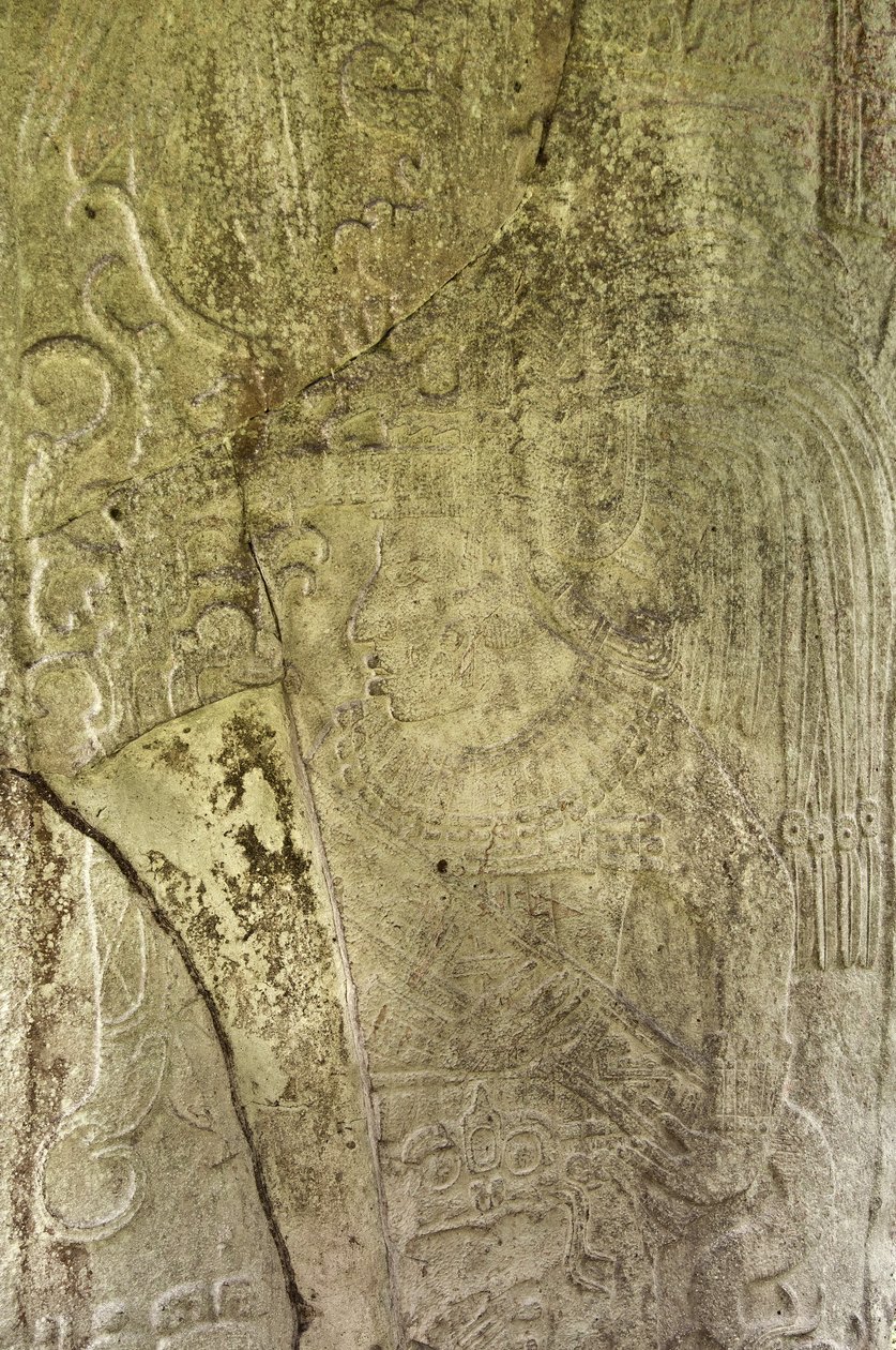 细节Stela 9描绘了Ajb&39;alun Haab&39;tal Wat&39;ul K&39;atel，来自危地马拉Ceibal的终端经典之王，纪念公元9日卡顿的结束。 849石 作者 玛雅人