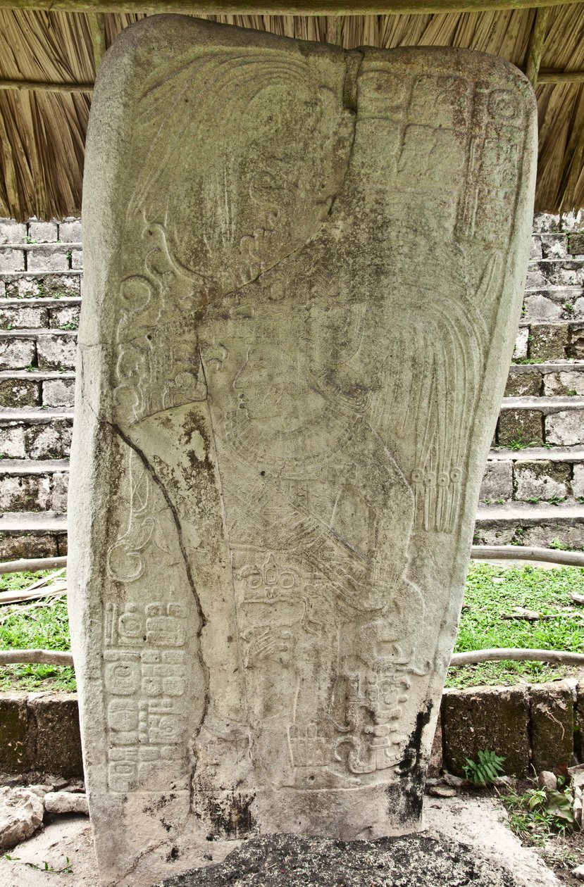 Stela 9描绘了来自危地马拉Seibal的终端经典之王Ajb&39;alun Haab&39;tal Wat&39;ul K&39;atel，纪念公元9日卡吞的结束。 849 作者 玛雅人