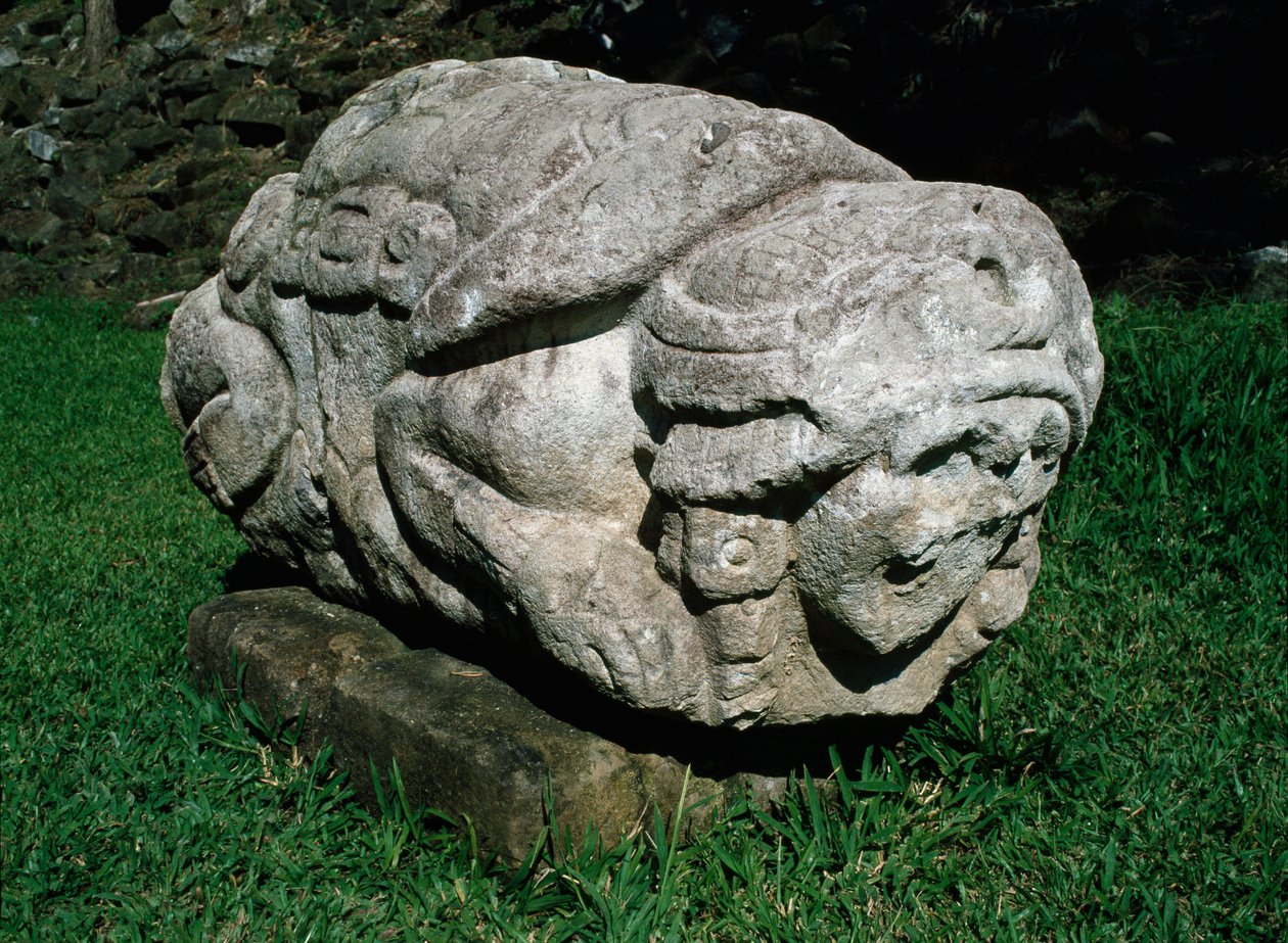 Zoomorphic altar carved in a block of gres 作者 玛雅人