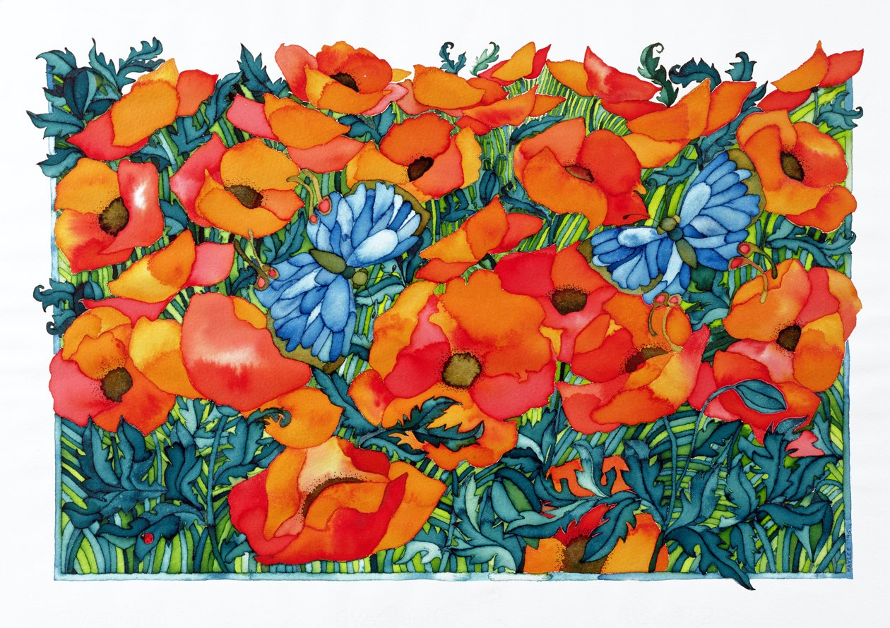 罂粟花，1998年（纸上wc） 作者 梅莉·克里斯蒂（Maylee Christie）