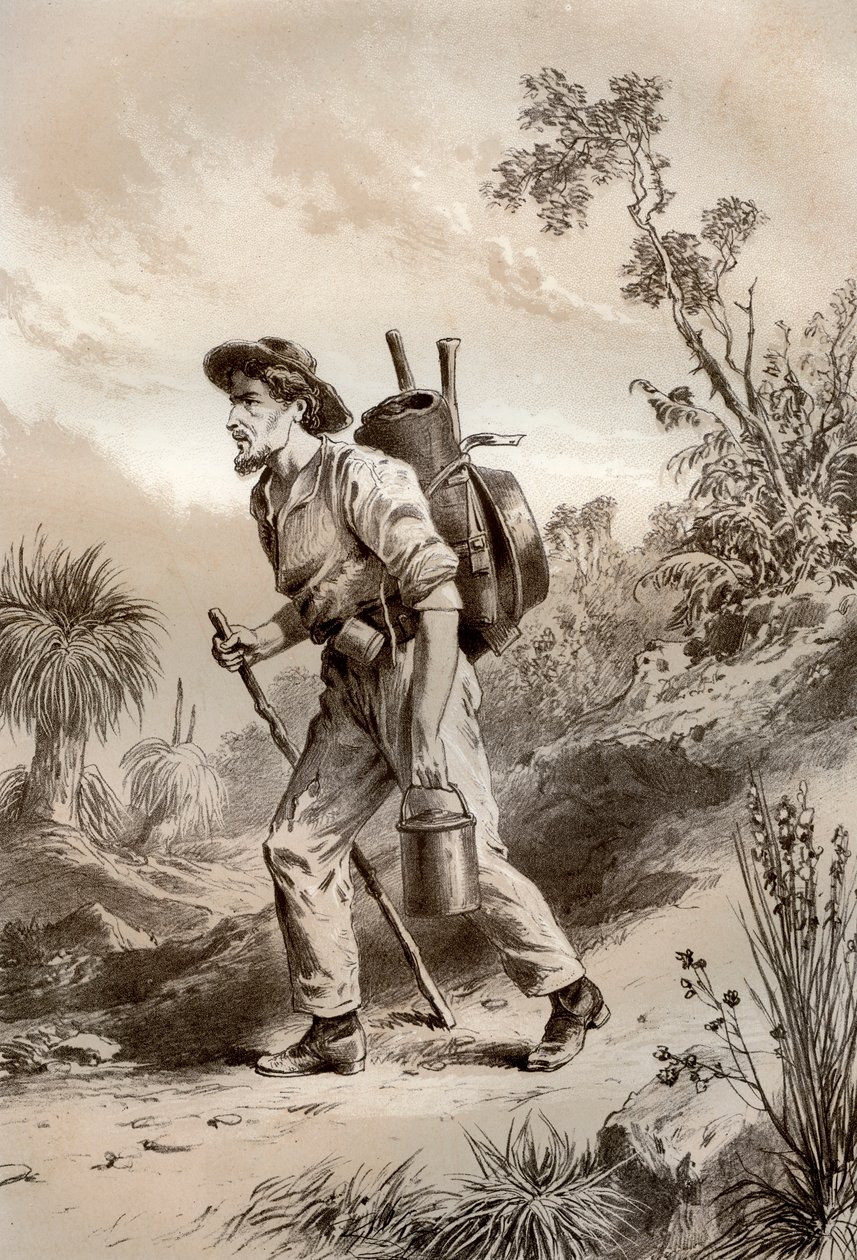 流浪中的挖掘机，澳大利亚，1879年。 作者 麦克法兰和埃斯金
