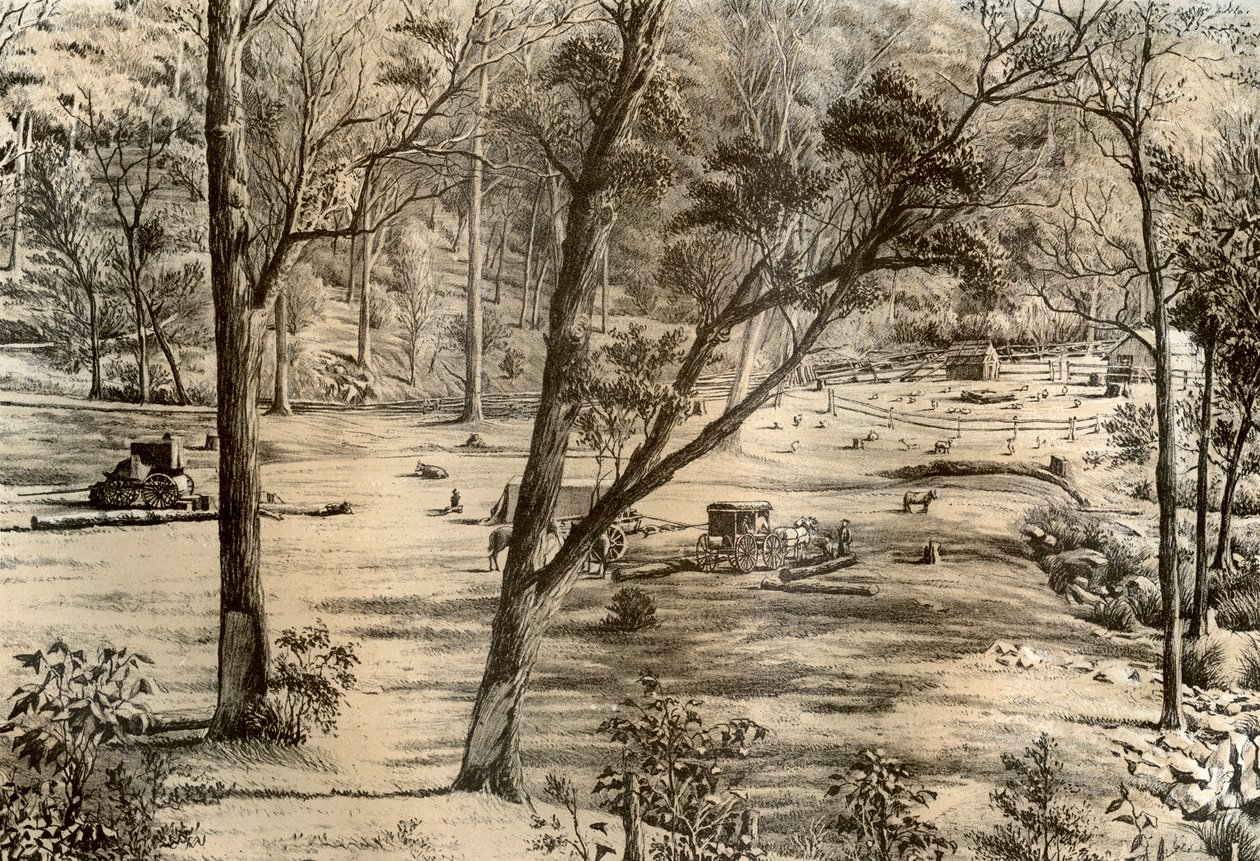 自由选择者的小屋，澳大利亚，1879年 作者 麦克法兰和埃斯金