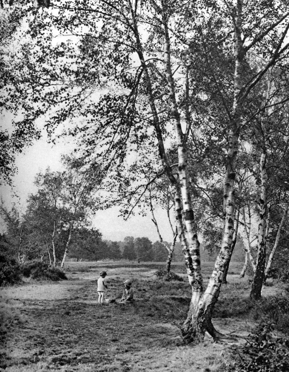 普特尼·希思（Putney Heath），伦敦，1926-1927年 作者 麦克里什