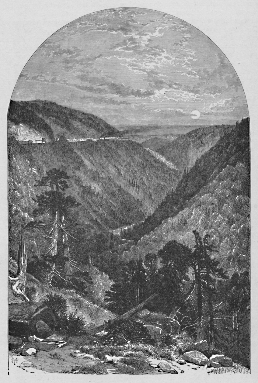 阿莱格里普斯的风景》，1883年 作者 米德和丘布