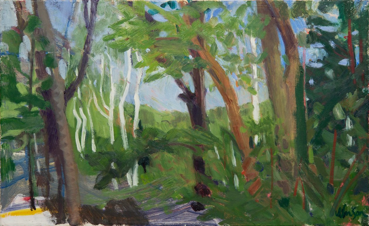白桦树林，2016 年（布面油画） 作者 梅根·威廉姆森