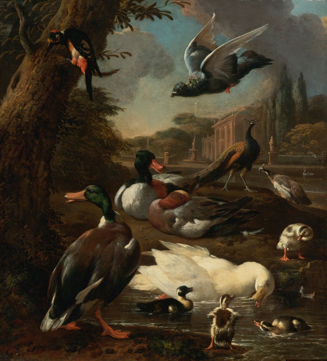 孔雀，鸽子，鸭子和其他鸟在庭院设置 作者 Melchior de Hondecoeter