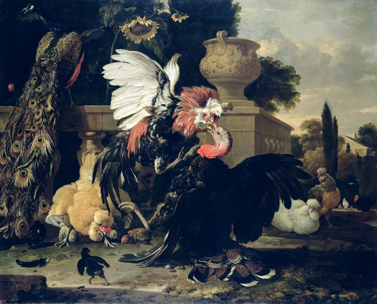 1668年，雄鸡和土耳其之间的战斗 作者 Melchior de Hondecoeter