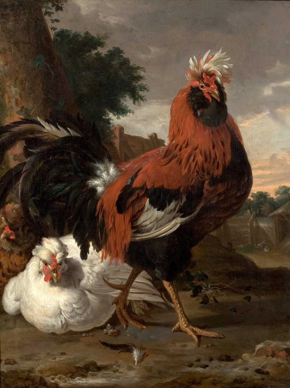 鸡 作者 Melchior de Hondecoeter